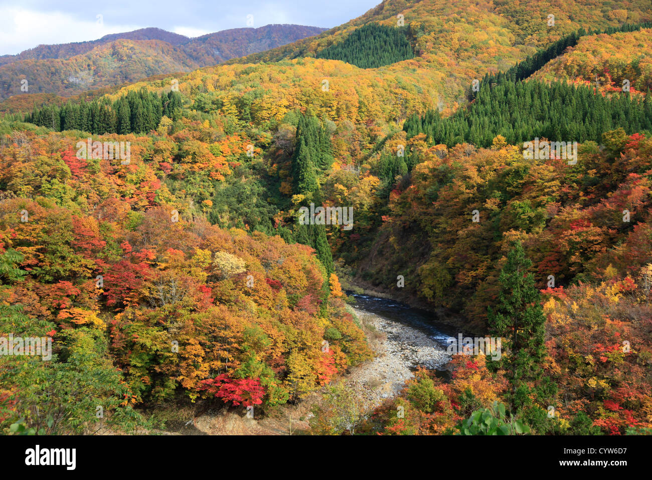 I colori dell'Autunno in montagna Akita Tohoku Giappone Foto Stock