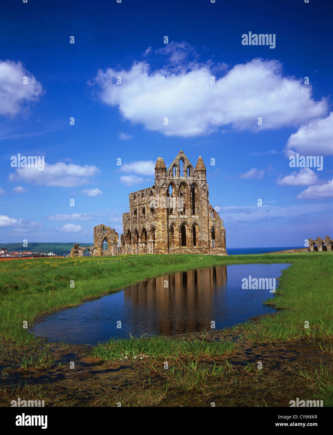 Whitby Abbey fondata nel 657 da st hilda Whitby North Yorkshire Regno Unito Foto Stock