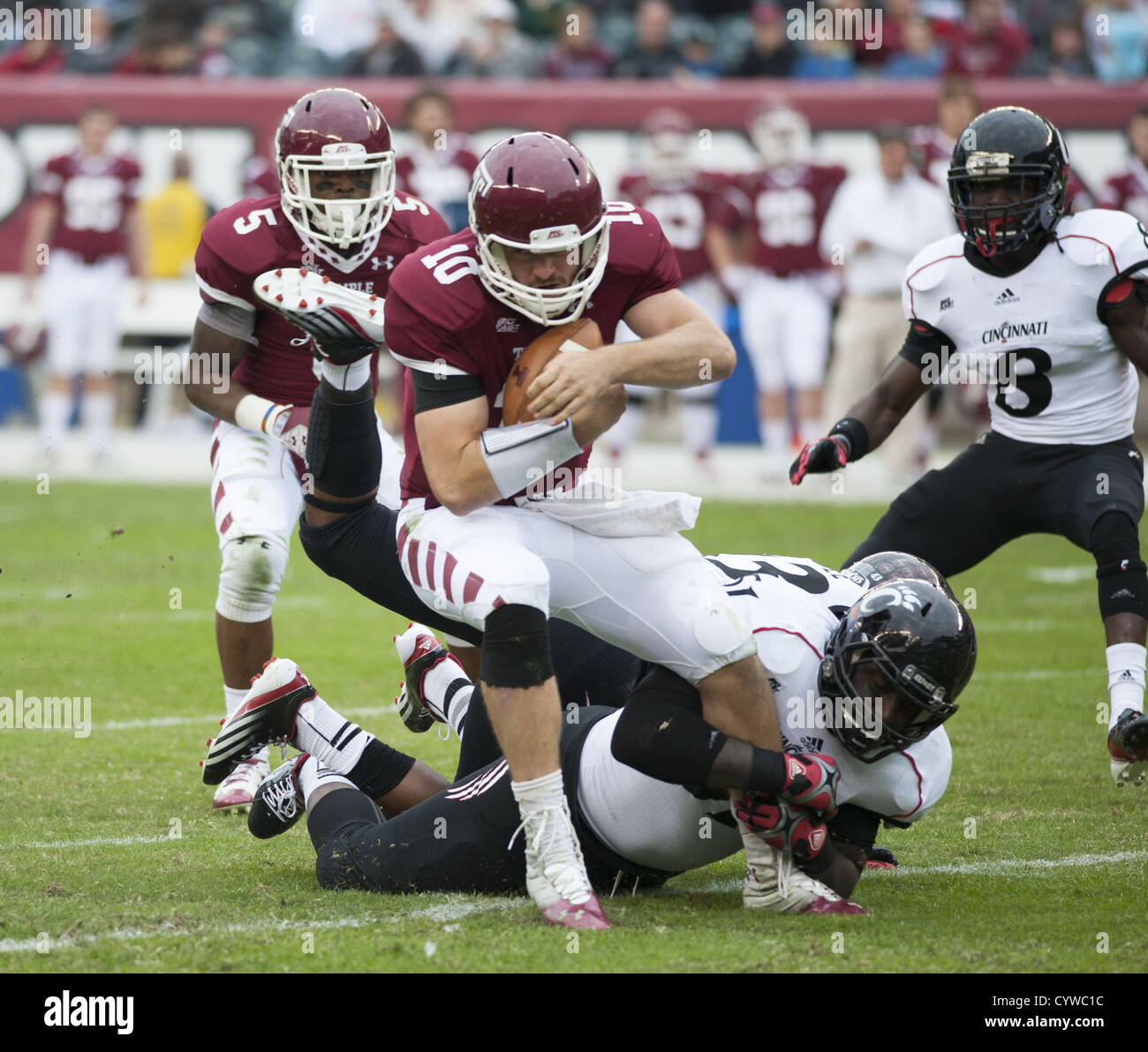 Nov. 10, 2012 - Philadelphia, Pennsylvania, Stati Uniti - Tempio della quarterback, CHRIS COYER, (10) in azione durante il gioco tra il tempio e di Cincinnati al Lincoln Financial Field. (Credito Immagine: © Ricky Fitchett/ZUMAPRESS.com) Foto Stock