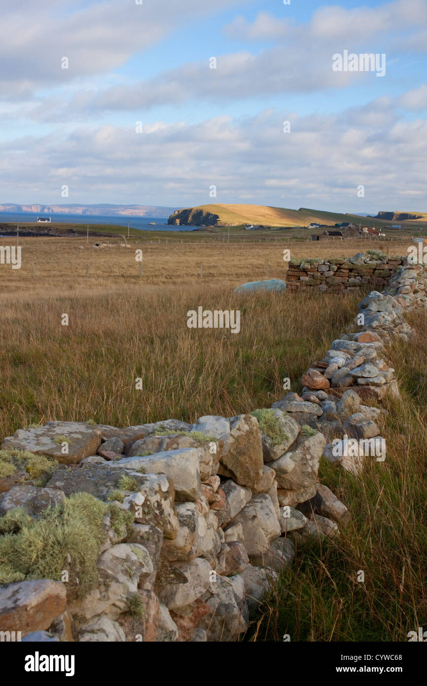 Guardando lungo un muro di pietra a Huxter, Westside, isole Shetland, verso il promontorio conosciuto come il Neap di Norby, Sandness Foto Stock