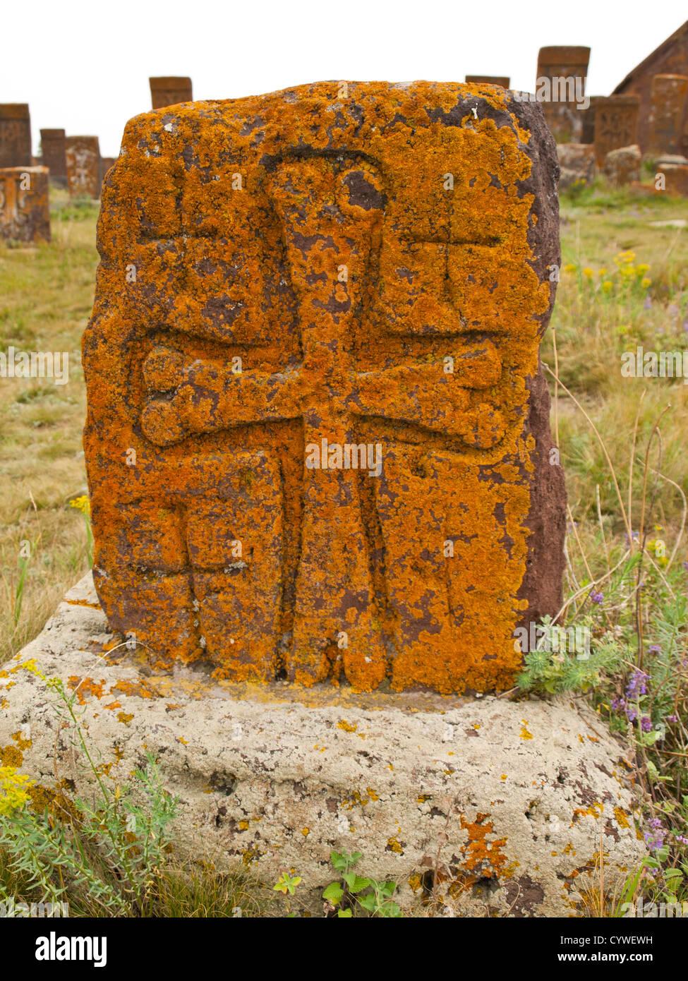 Khatchkar (cross-pietra) nel campo Noratus Foto Stock