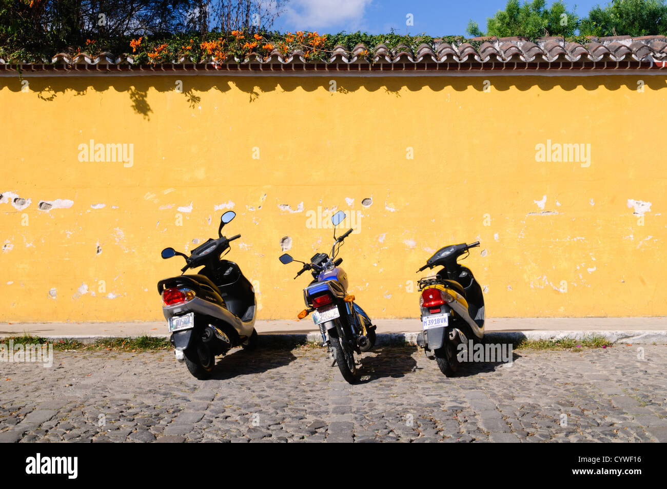 Scooter strada acciottolata Antigua Guatemala // ANTIGUA GUATEMALA, Guatemala - tre scooter sono parcheggiati in una strada acciottolata di fronte a un vivace muro giallo. La parete è ricoperta da tradizionali piastrelle di terracotta e lussureggiante vegetazione verde con luminosi fiori di arancio, tutti immersi nella luce del sole. Foto Stock
