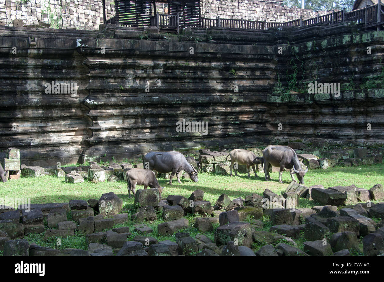 Angkor Thom, Sito Patrimonio Mondiale dell'UNESCO, Angkor, Siem Reap Provincia, Cambogia, Indocina, sud-est asiatico Foto Stock