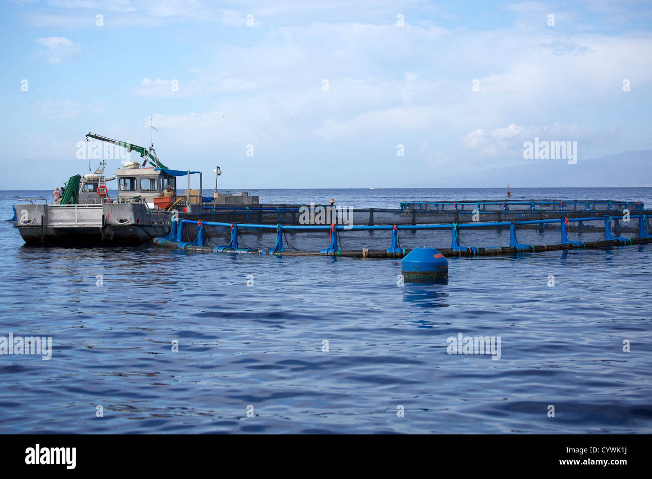 Azienda agricola nell'Oceano Atlantico al largo dell'isola di La Gomera per la coltivazione di pesci e crostacei Foto Stock