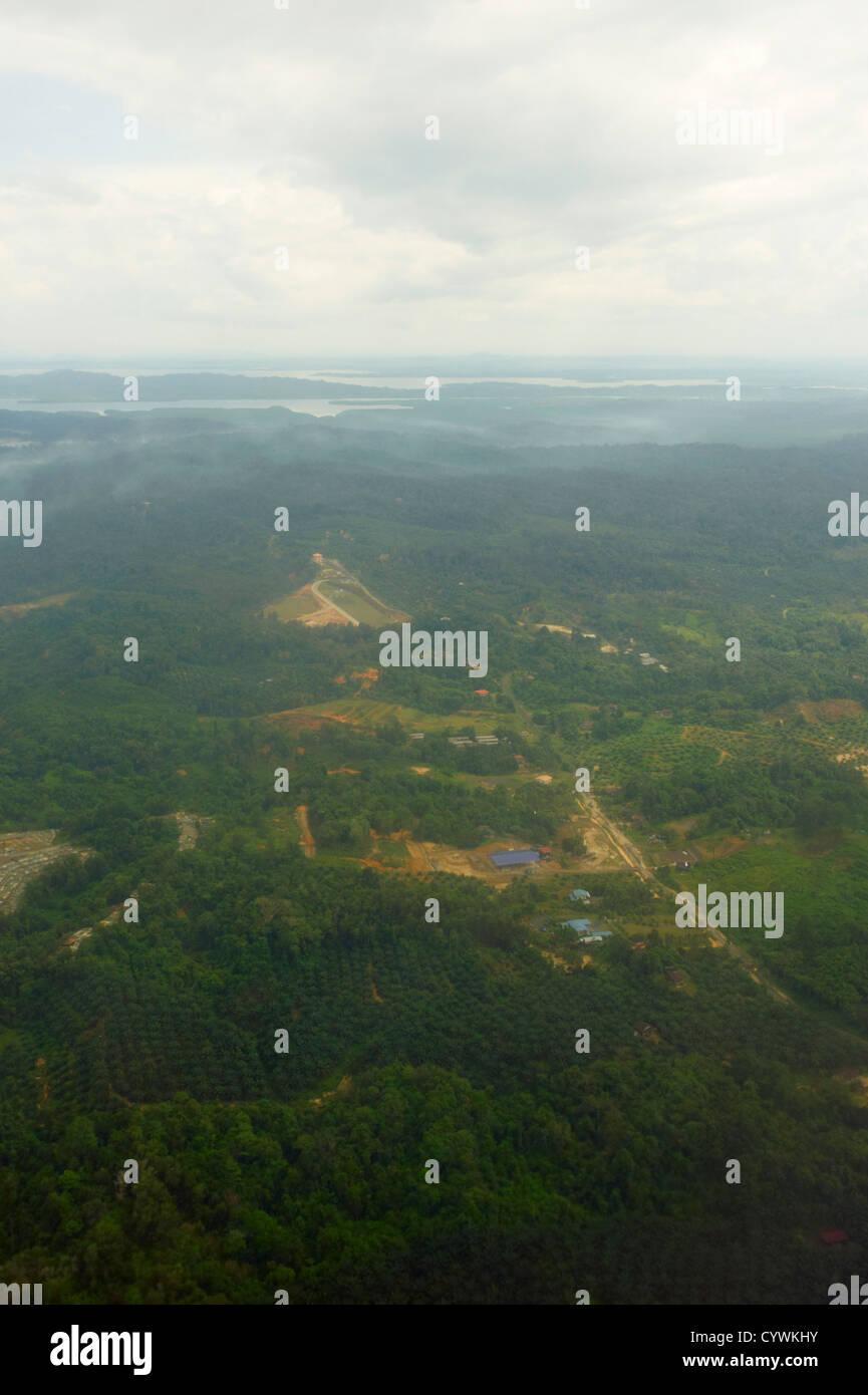 Olio di palma e piantagioni di foresta pluviale, Sabah Borneo Foto Stock