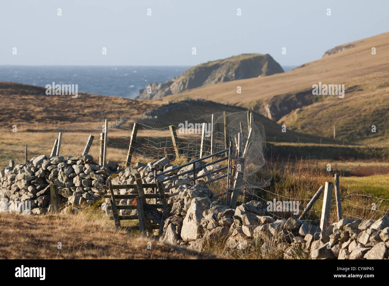 Dale di pareti, guardando giù per la valle verso Voe di Dale e l'Oceano Atlantico, Isole Shetland Foto Stock