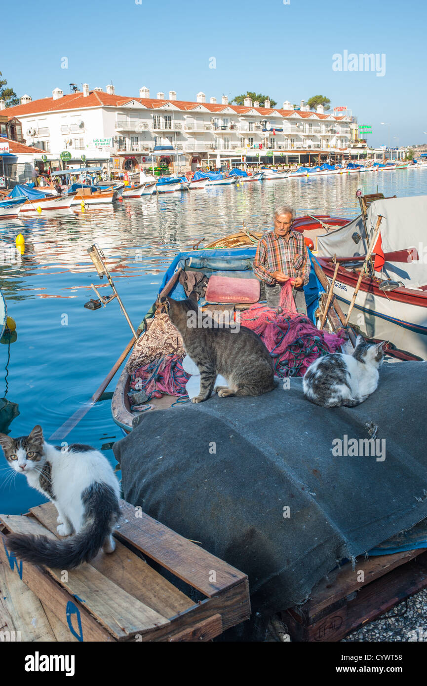 I gatti randagi guarda un pescatore di preparare il suo reti da pesca a bordo di una tradizionale barca da pesca in Foca, Turchia. Foto Stock