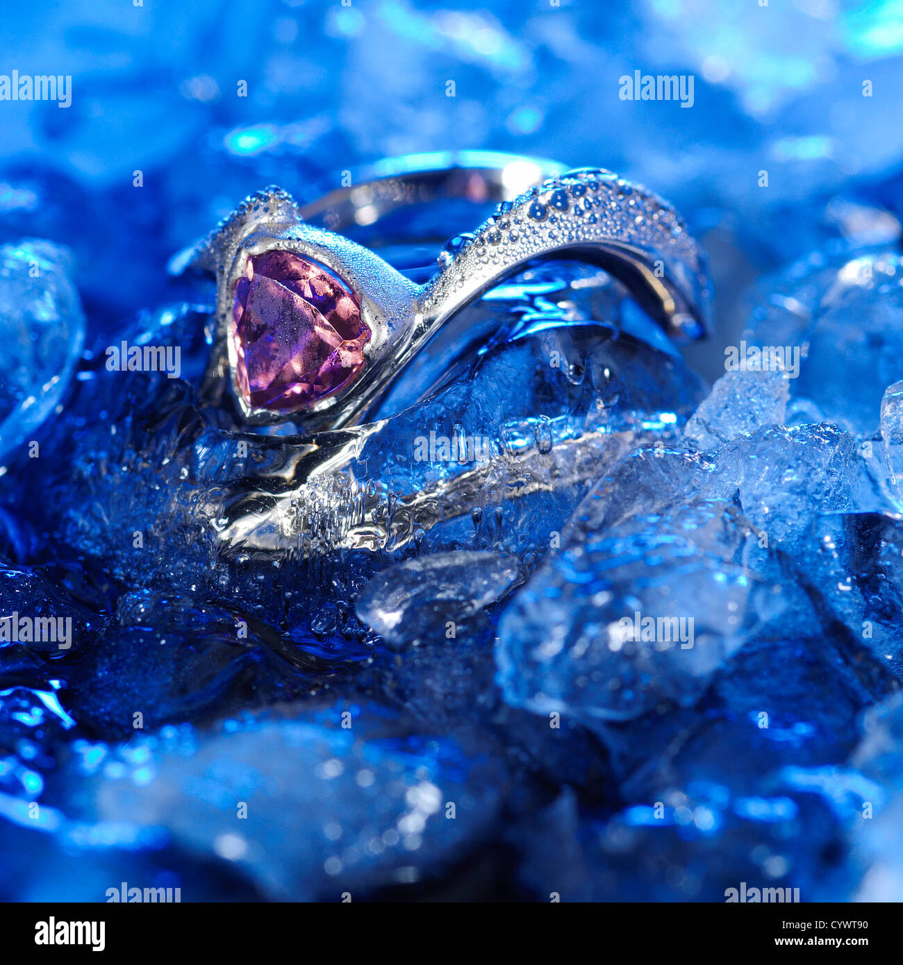 Congelati rosa e anello in argento in ghiaccio Foto Stock