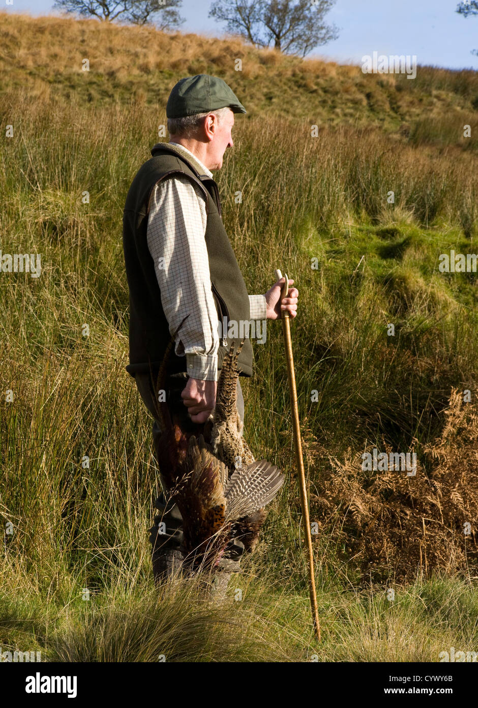 Moorland guardiacaccia, l'uomo maschio, huntsman sparare, sparare fagiani gioco bird, fagiano, sparare hunter tutore di caccia azienda campagna piume rurale Foto Stock