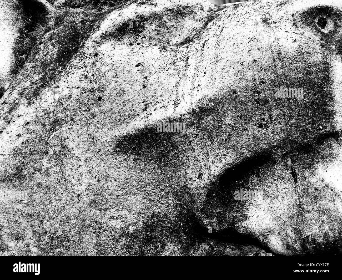 Close up di Lion statua alla testa. British Museum, Bloomsbury, London, England, Regno Unito Foto Stock