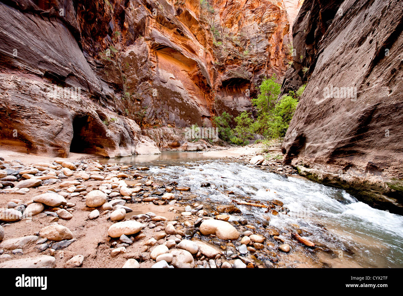 Zion Narrows Foto Stock