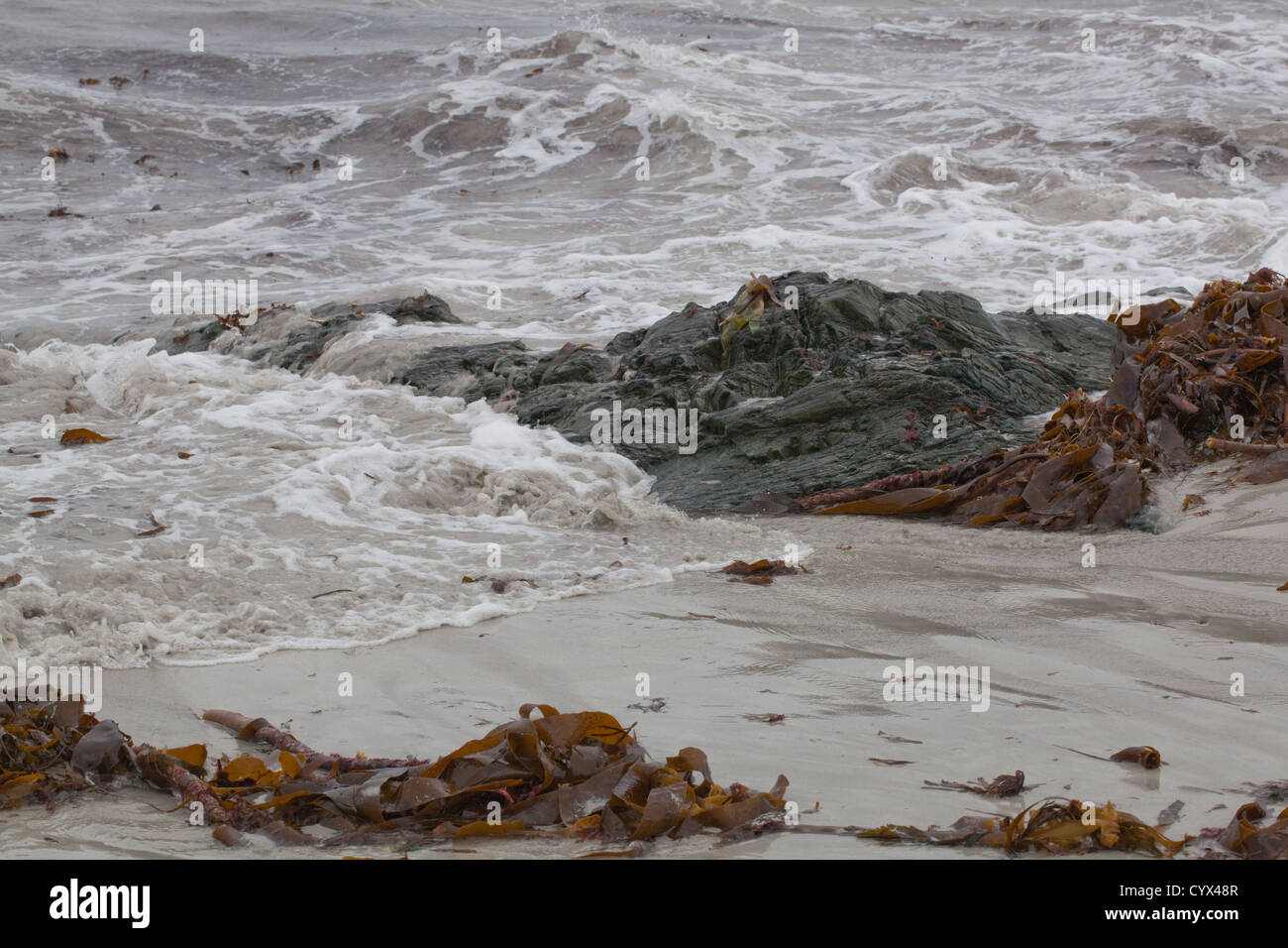 Le onde in arrivo sulla spiaggia, Isola di Iona, Ebridi Interne, SW in Scozia. Wrack le alghe le alghe lavato fino dalla marea. West coast Iona. Foto Stock