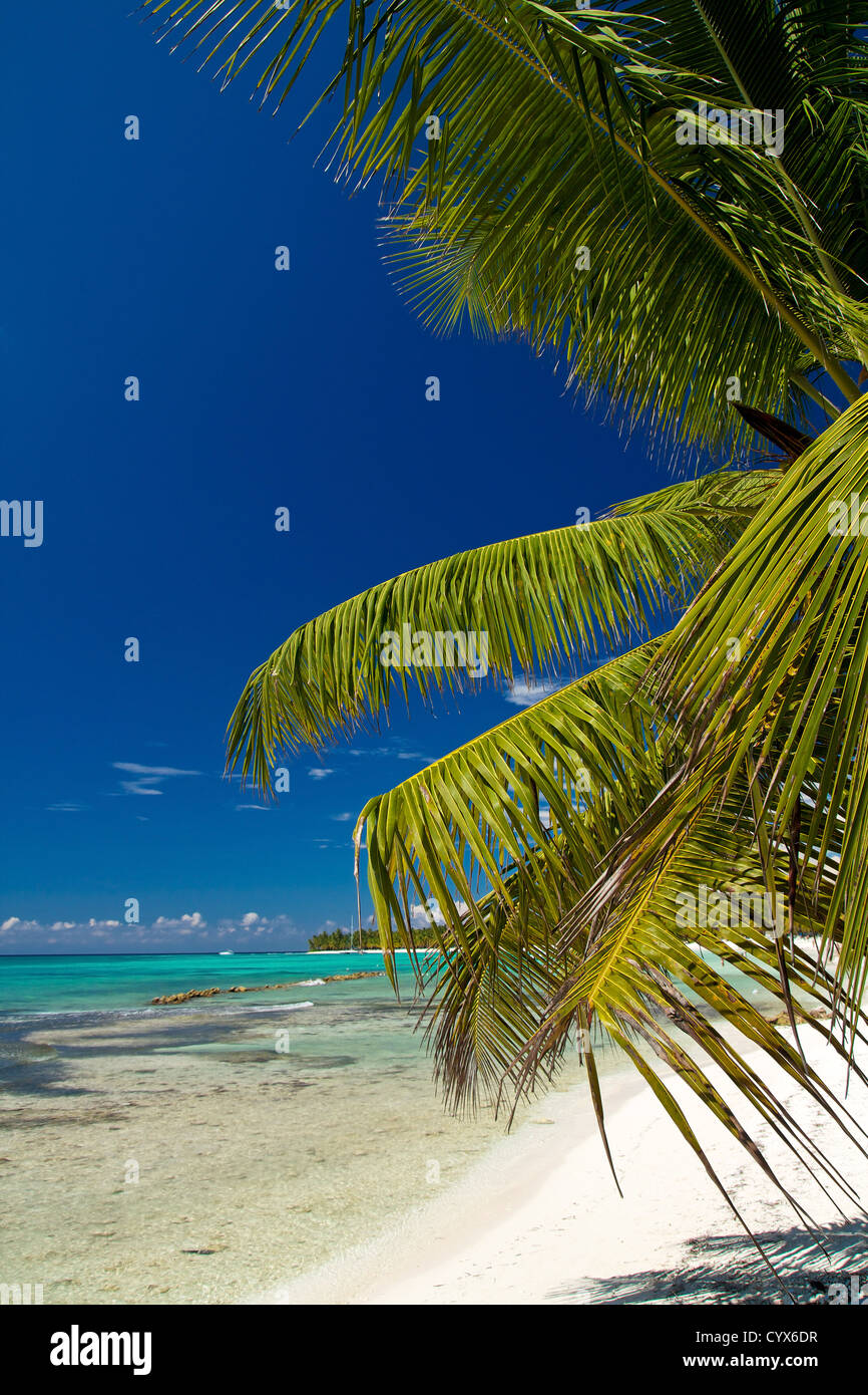 Una bella immagine della spiaggia caraibica - Natura Foto Stock