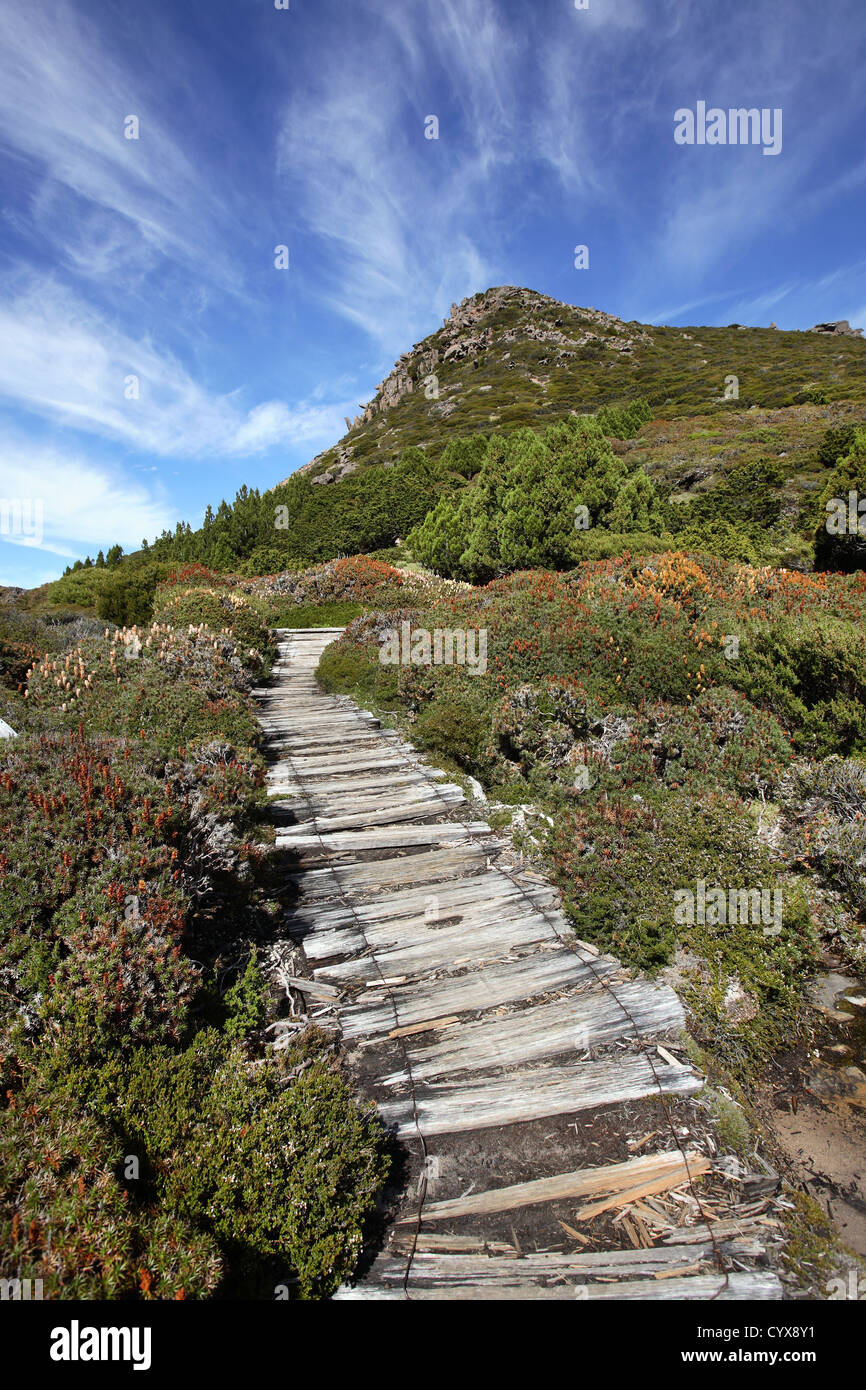 La Overland Track. Culla Mt - Lake St Clair National Park, la Tasmania, Australia. Foto Stock