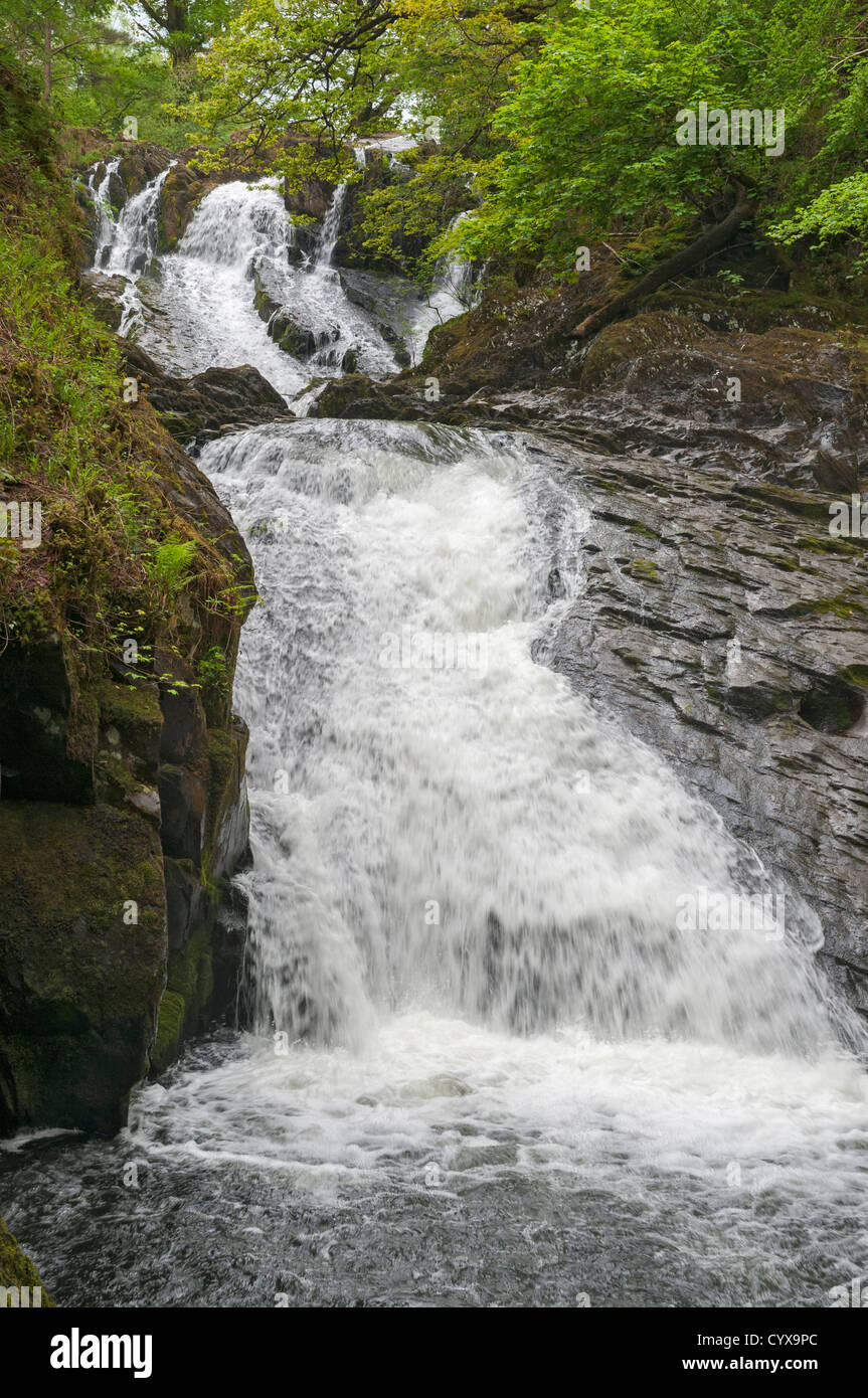 Il Galles, Parco Nazionale di Snowdonia, Betws-y-Coed, Swallow Falls Foto Stock