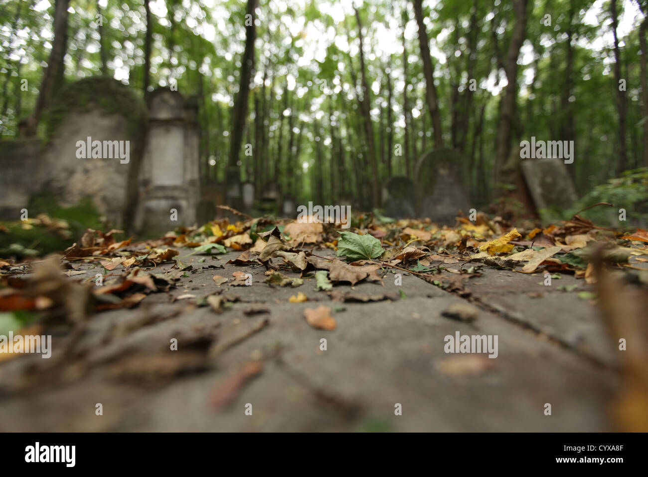 Cimitero ebraico, Varsavia POLONIA Foto Stock