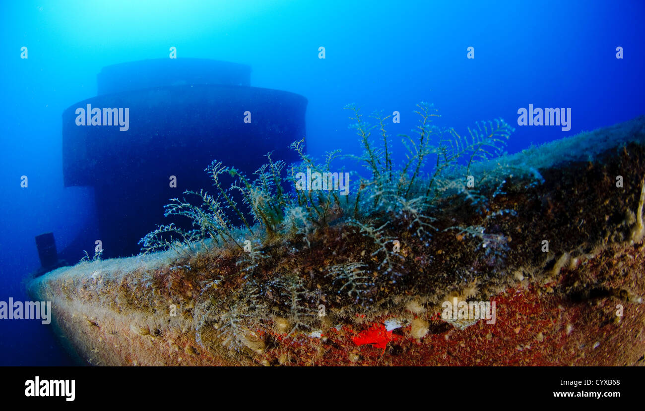 N reef artificiale e un sito di immersione. Foto Stock N reef artificiale e un sito di immersione. Foto Stock