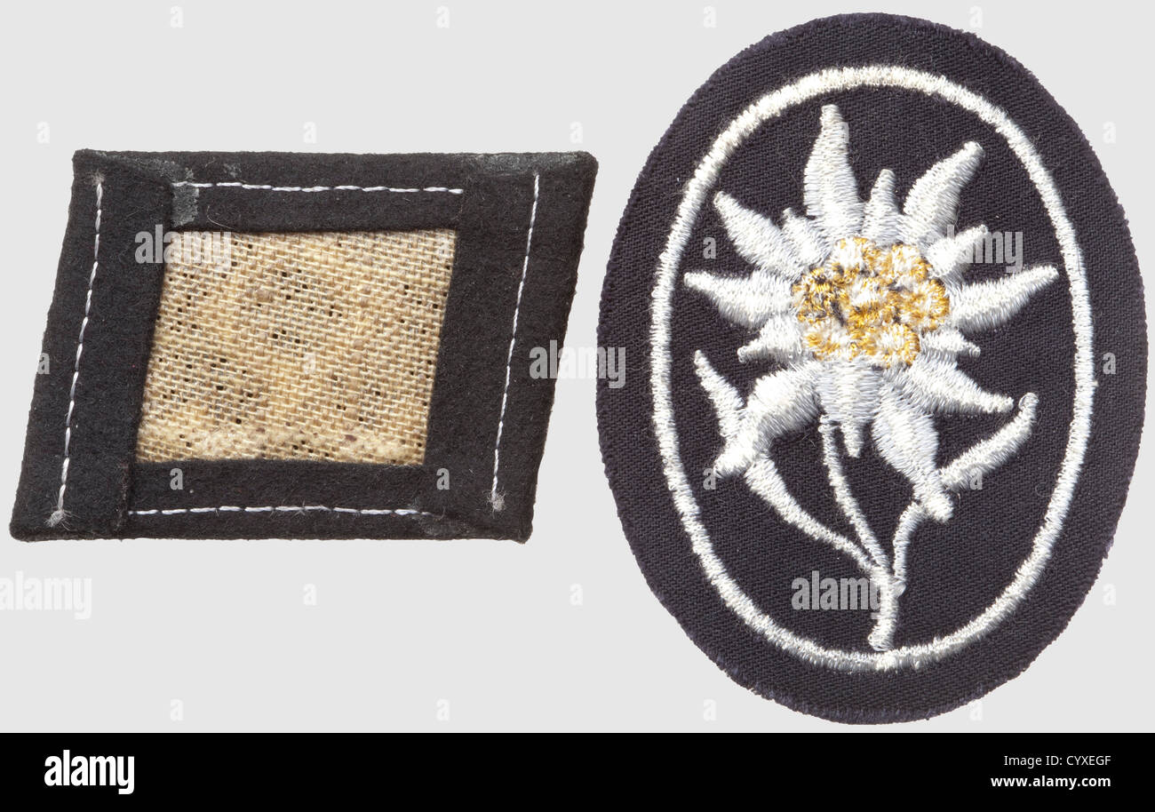 Collare patch per il 7 ° Waffen-SS-Division 'Prinz Eugen', RZM-macchina ricamata versione su tessuto nero, insieme con un 'Edelweiss' SS-armbadge,storico,storico,anni trenta,20 ° secolo,servizio segreto,servizio segreto,servizi segreti,servizi di sicurezza,polizia,servizio armato,servizi armati,NS,nazional socialismo,nazismo,terzo pezzo,taglio di oggetti-nazisti,taglio-in-Germania,taglio-fuori-uniforme,rifacimenti,taglio-accessori-taglio,Nazi-fuori-fuori-conto,rifacimenti,taglio-e-Germania,taglio-taglio-fuori-taglio-di-accessori,taglio-taglio,taglio-di-e-di-accessori,taglio,taglio-diritti,taglio,taglio-di-di-taglio,Nazi-fuori,Nazi-fuori Foto Stock