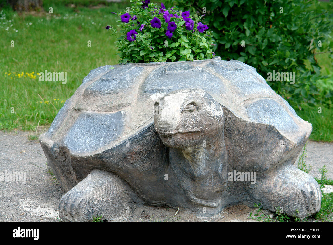 Aiuola di pietra nel parco in forma di tartaruga Foto Stock