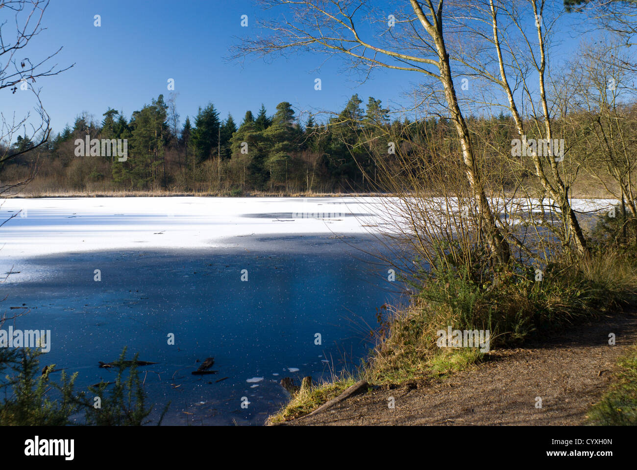 Congelati pysgodlyn mawr lago hensol forest Vale of Glamorgan Galles del Sud Foto Stock