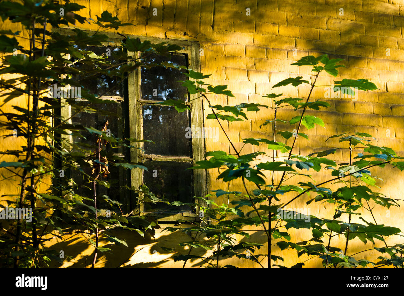 Giallo vecchia casa di mattoni con verde di windows Foto Stock
