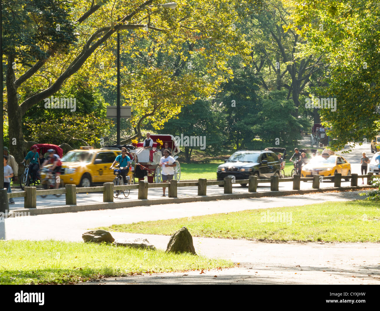 Automobili, di corridori, ciclisti e carro trainato da cavalli, West Drive, al Central Park di New York Foto Stock
