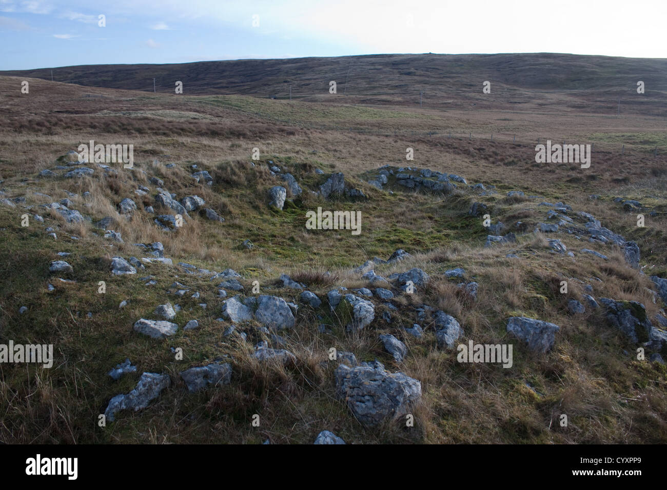 Staneydale tempio vicino Bixter Westside Isole Shetland Foto Stock