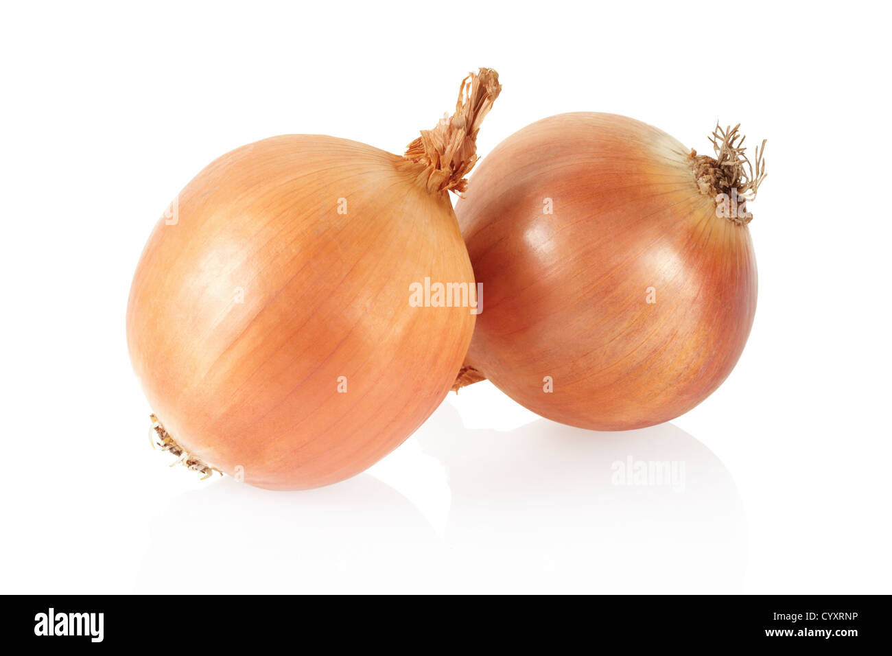 Onion gruppo isolato su bianco, percorso di clipping incluso Foto Stock