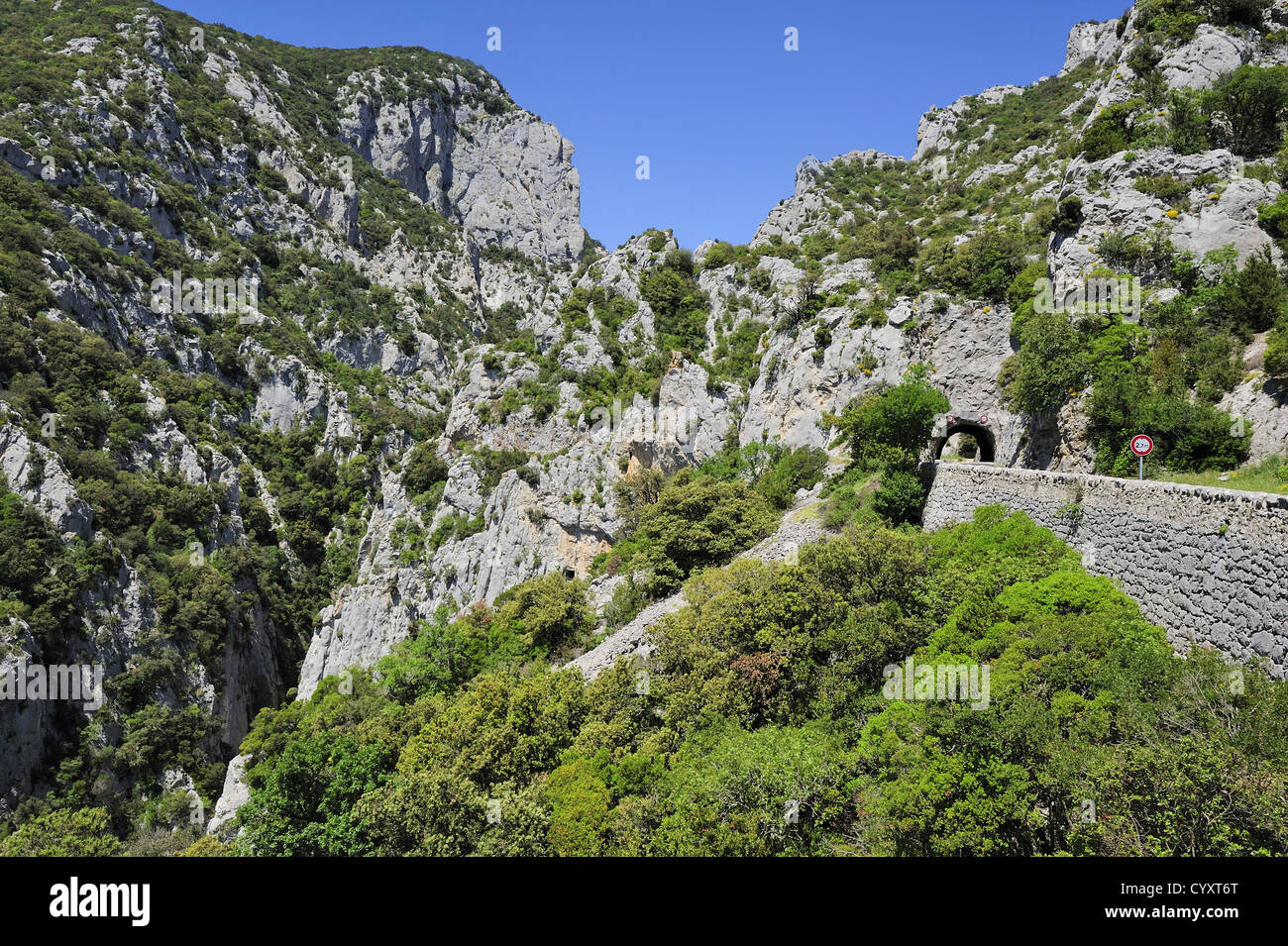Strada nel canyon Gole di Galamus, Languedoc-Roussillon, Francia Foto Stock