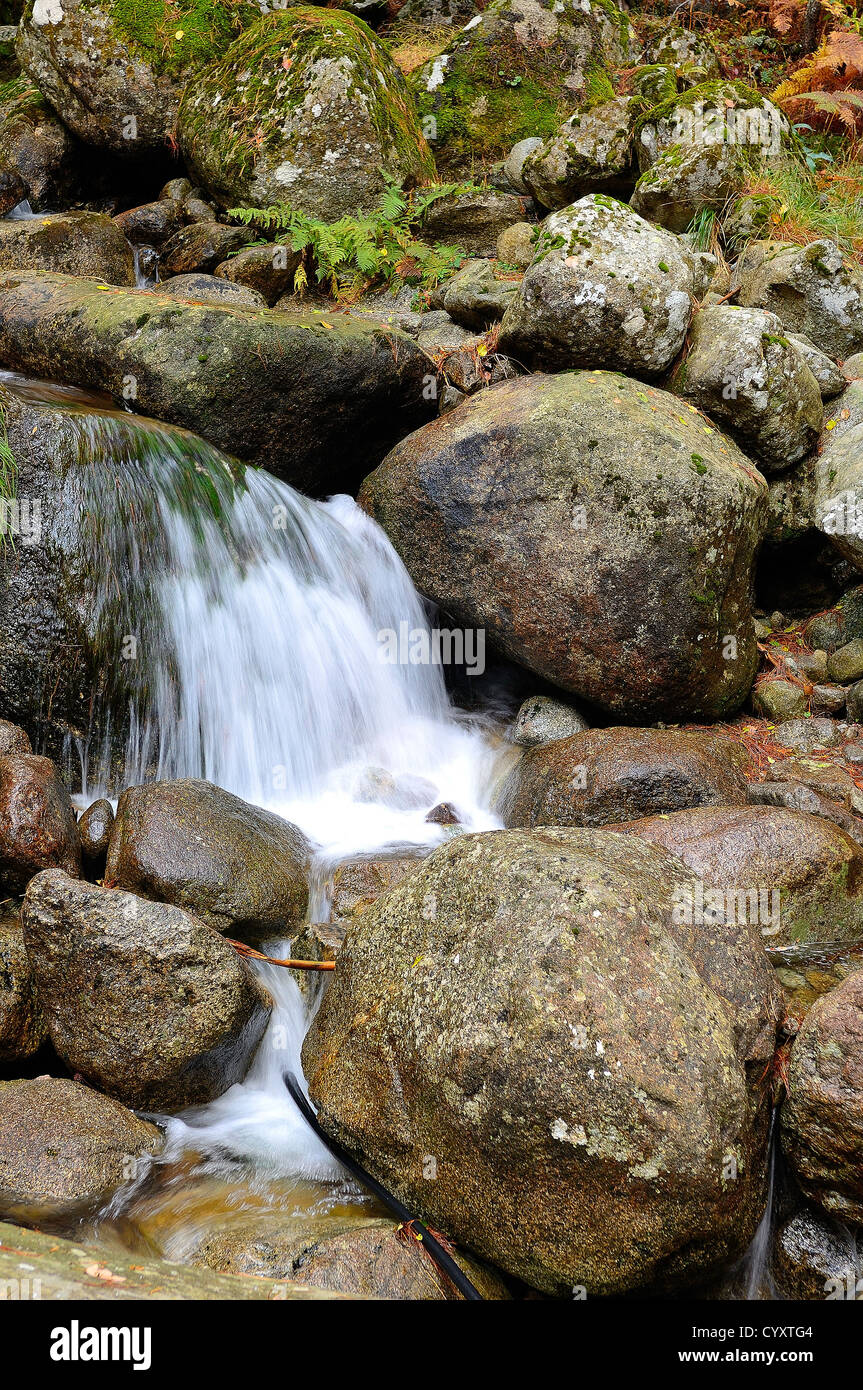 Petite cascade dans la restonicat en automne haute Corse Francia 2b Foto Stock