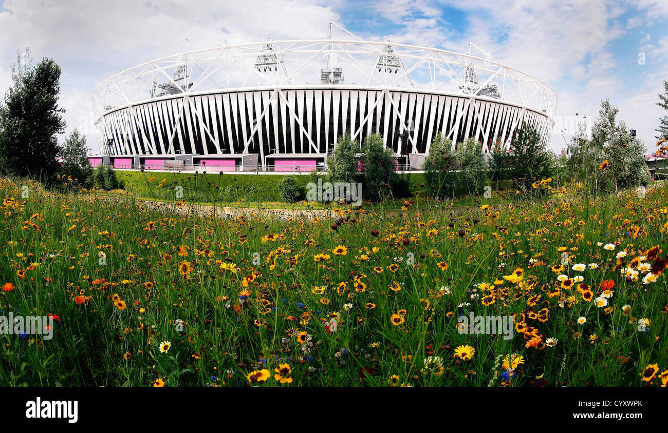Stratford Stadio Olimpico prato naturalistico piantagione utilizzando per le piante annuali provenienti da tutto il mondo Isole Britanniche unione Foto Stock