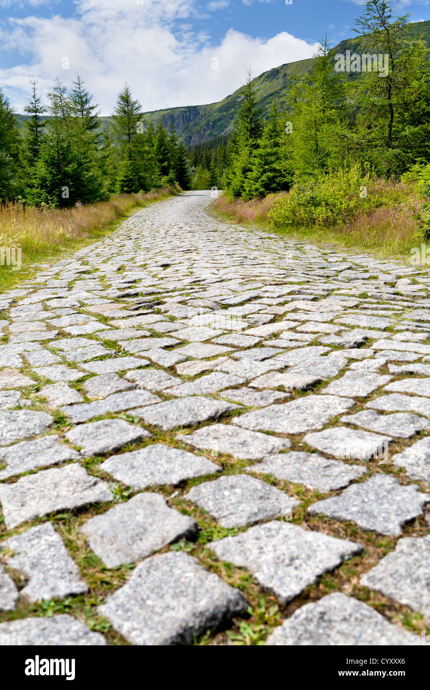 Vecchia strada in montagna - strada realizzata in pietra che conduce da qualche parte Foto Stock