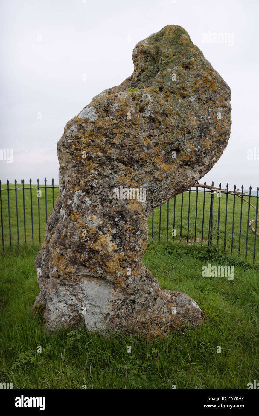 Il Re di Pietra pietra permanente, parte dell'Rollright Stones, vicino a Chipping Norton, Oxfordshire, Regno Unito. Foto Stock