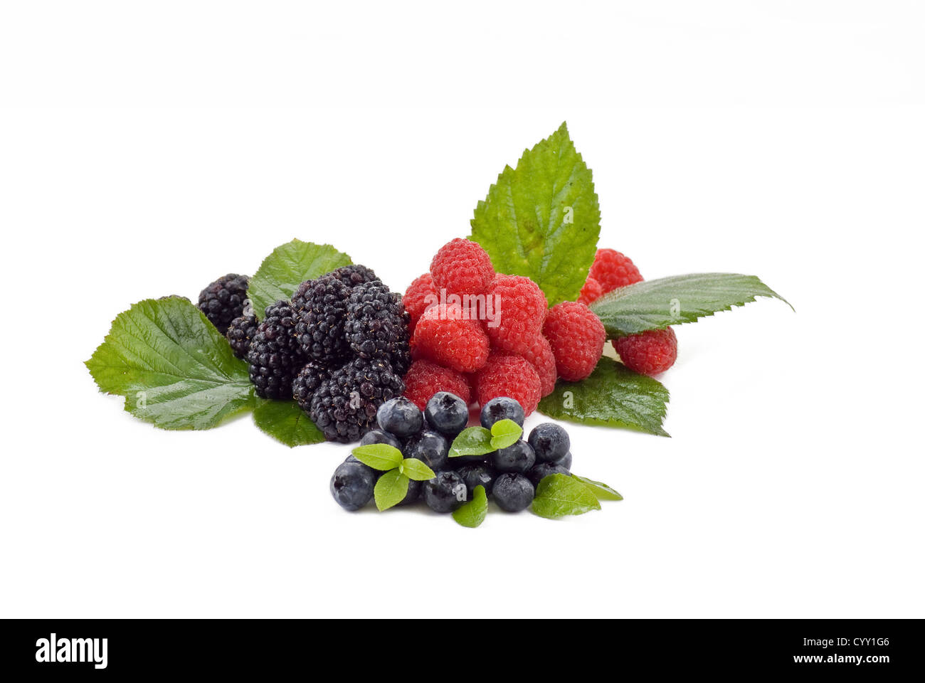 Estate freschi frutti di bosco Foto Stock