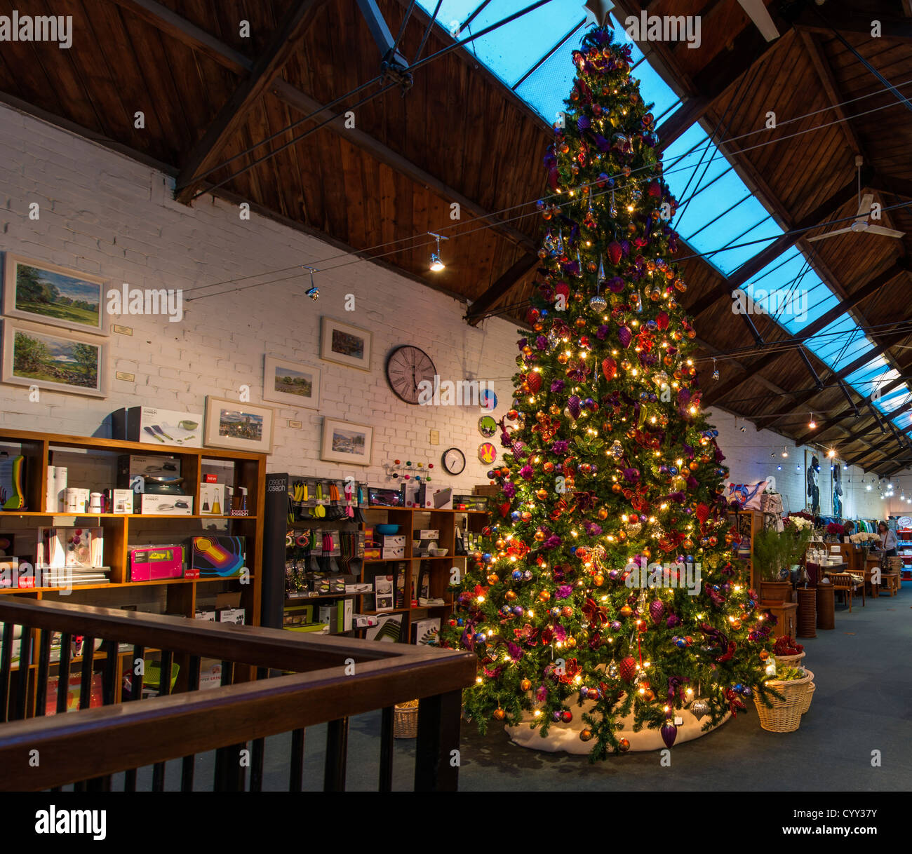 Bovey Tracey, Devon, Inghilterra. 10 novembre 2012. Un gigantesco albero di Natale e le sue decorazioni allestite in un negozio a Bovey Tracey. Foto Stock