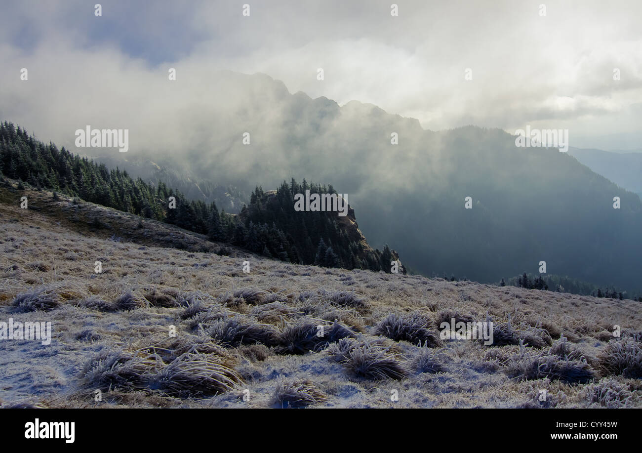 Paesaggio invernale in montagna Ciucas Foto Stock