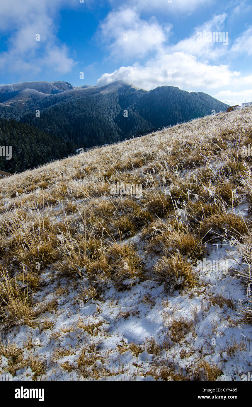 Paesaggio invernale in montagna Ciucas Foto Stock