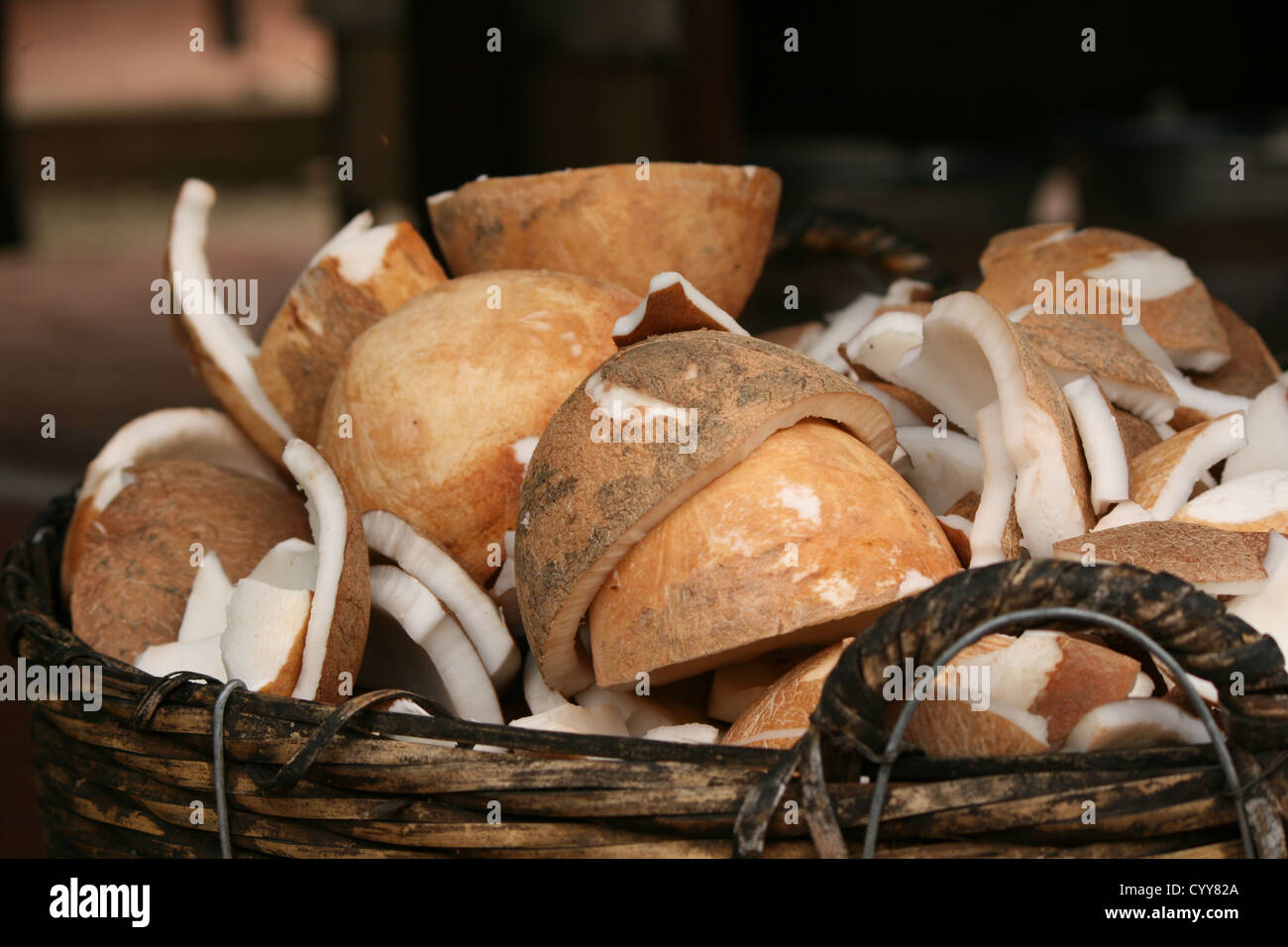 Gusci di noce di cocco in un cestello Foto Stock