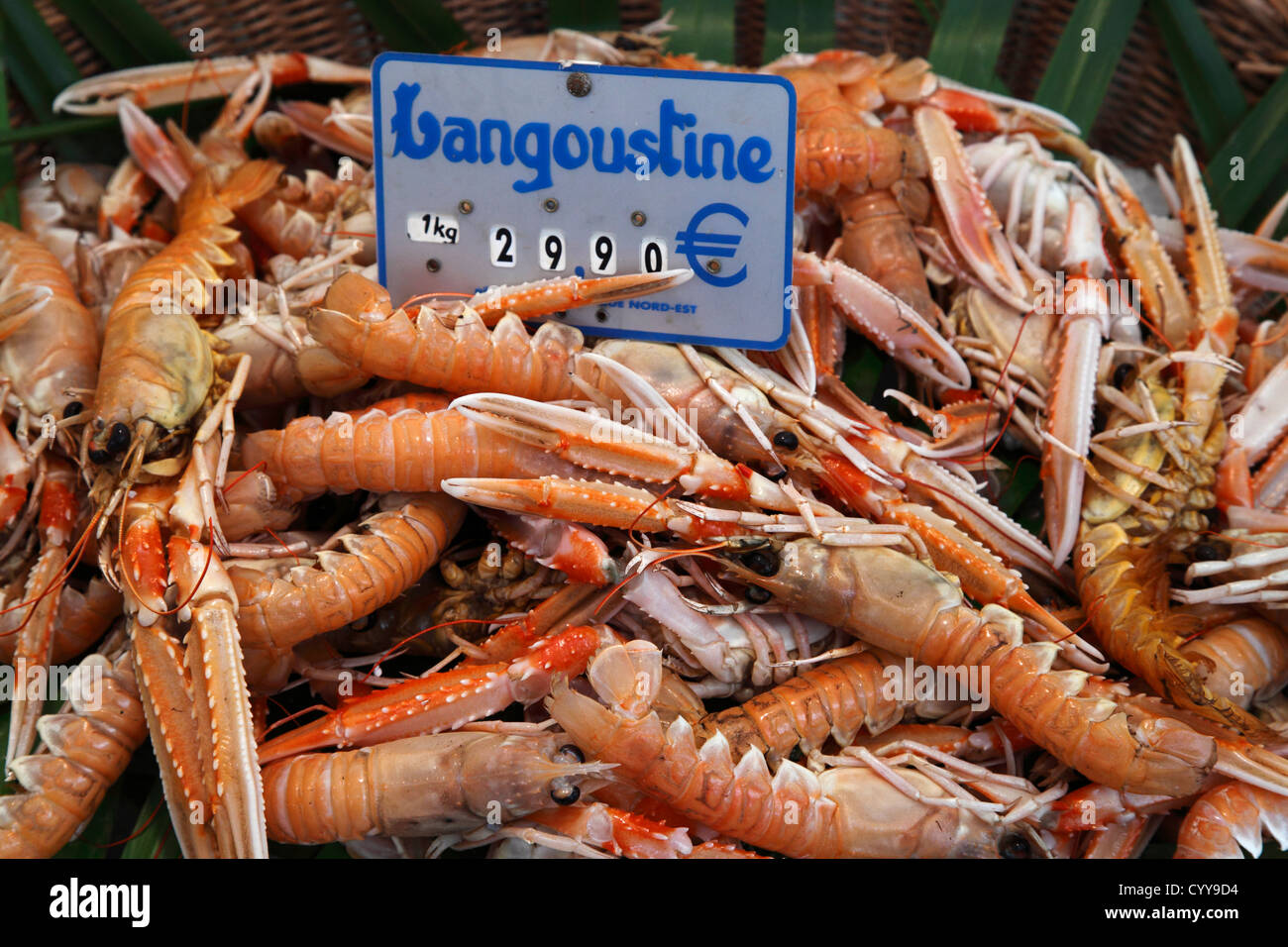 Scampi (Nephrops norvegicus) sul mercato del pesce di Parigi Foto Stock