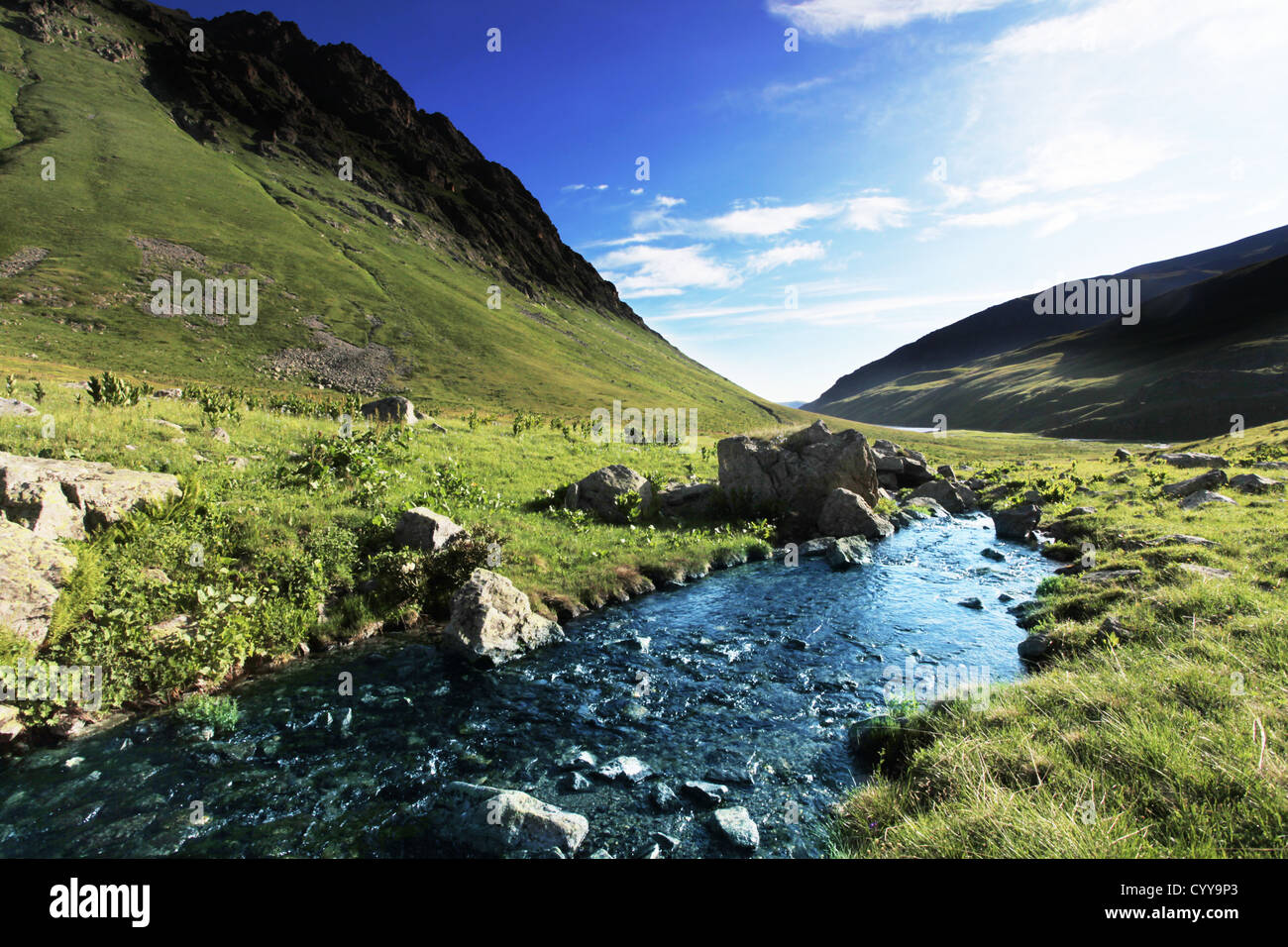 Creek in montagna Foto Stock