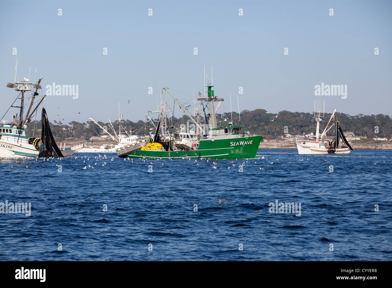 I pescatori tirare le loro catture sulla baia di Monterey in California. Foto Stock