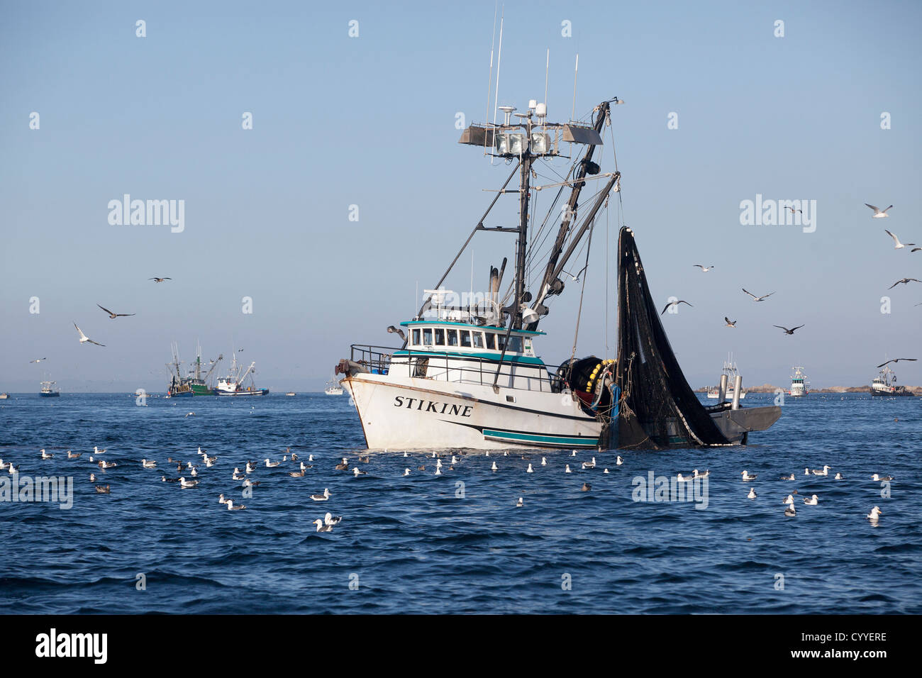 I pescatori tirare le loro catture sulla baia di Monterey in California. Foto Stock