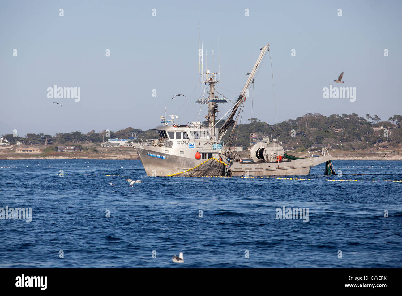 I pescatori tirare le loro catture sulla baia di Monterey in California. Foto Stock