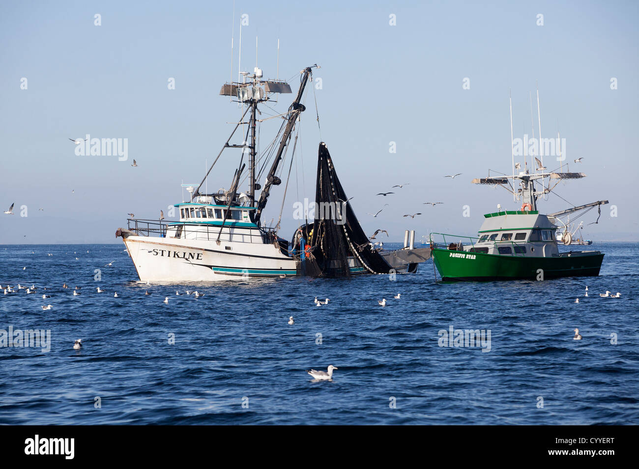 I pescatori tirare le loro catture sulla baia di Monterey in California. Foto Stock
