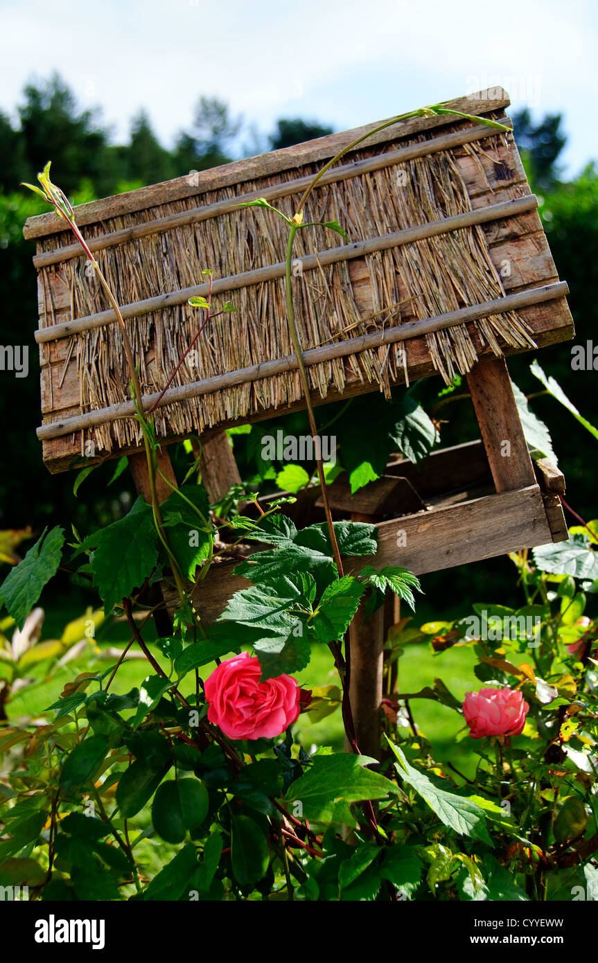 Un uccello sovradimensionate house con rose Foto Stock