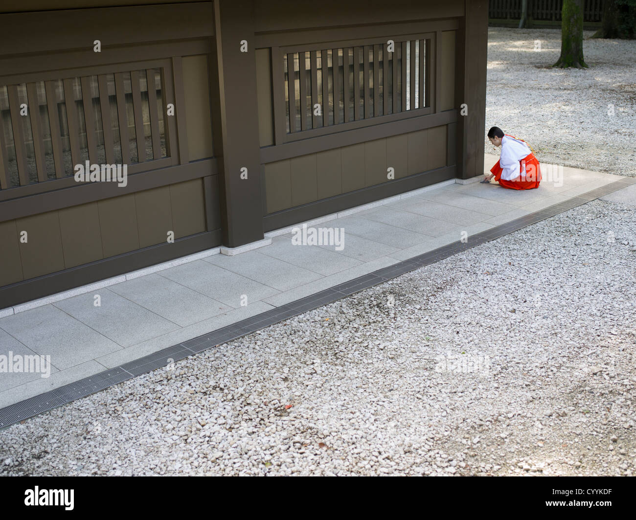 Miko, santuario maiden, pulizia del Tempio di Meiji in Tokyo centrale Foto Stock