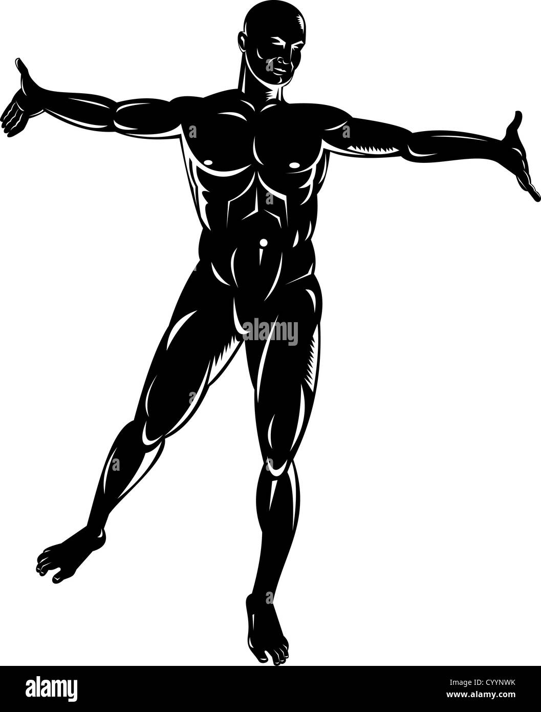 Illustrazione di anatomia umana che mostra un maschio in piedi su sfondo isolato Foto Stock