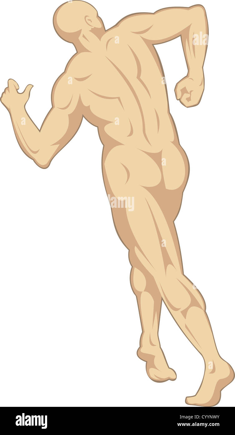 Illustrazione di anatomia umana che mostra un maschio di camminare su sfondo isolato Foto Stock