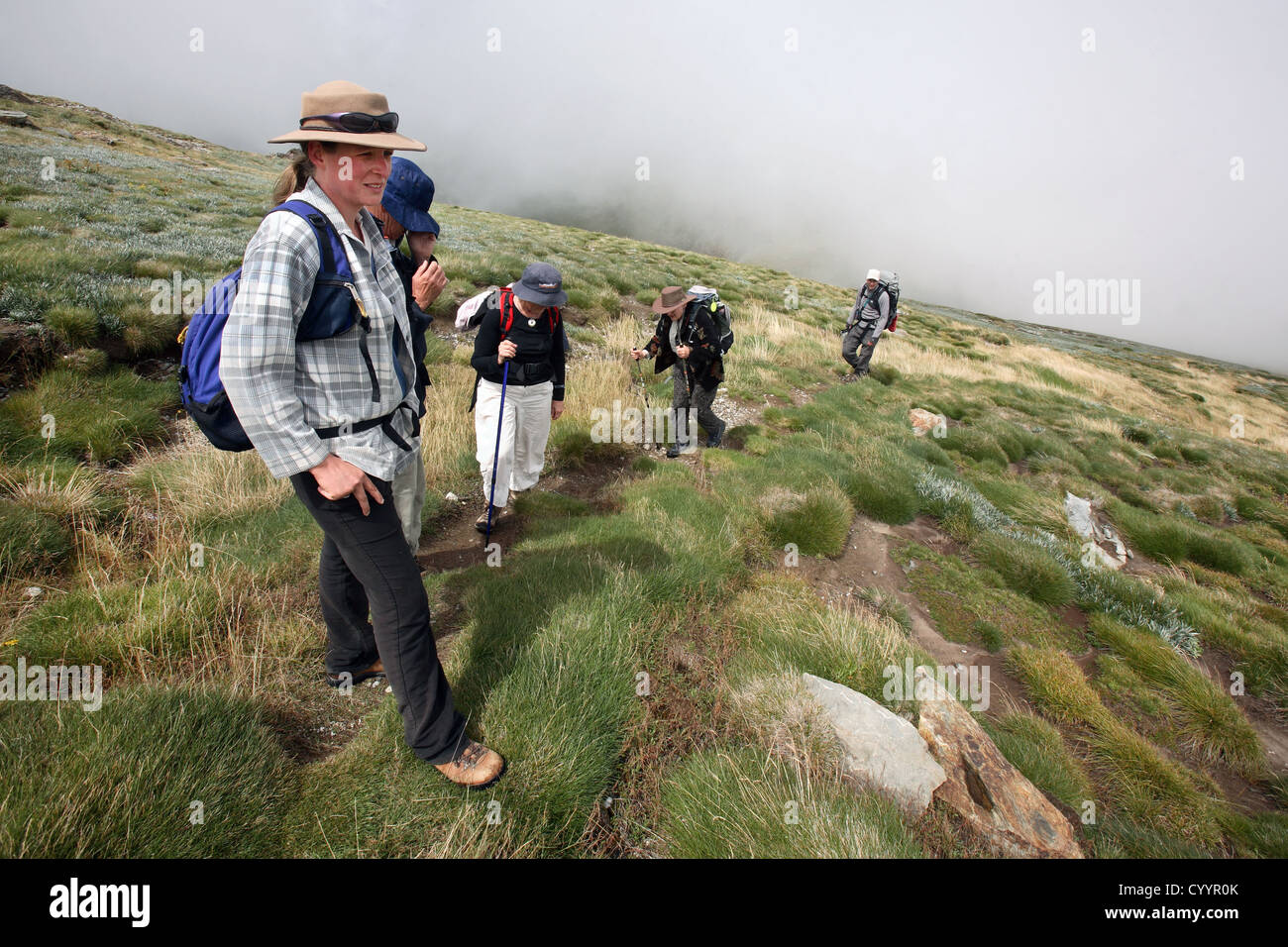 Bushwalkers nelle Alpi Australiano. Kosciuszko National Park, New South Wales. Foto Stock