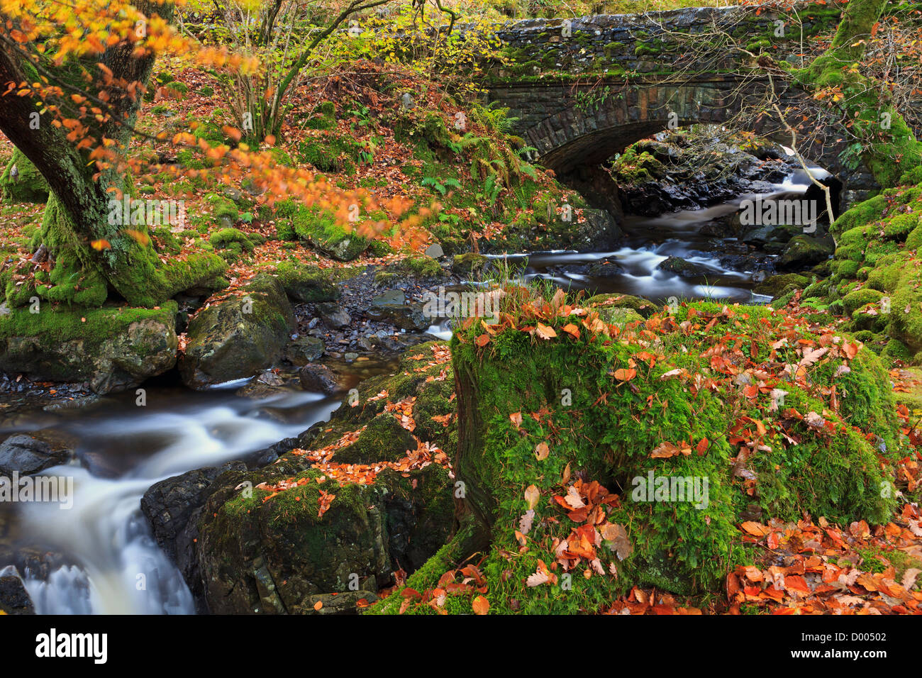 Il vecchio ponte di pietra sul Launchy Gill a Thirlmere nel distretto del lago, Cumbria, Inghilterra. Foto Stock